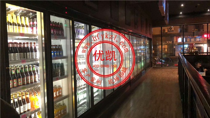 玻璃門飲料柜案例